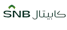 الأهلي المالية